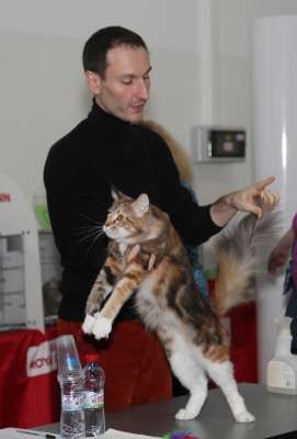 �������� ����� '������� ���-�����' 30 ������-1 ������� 2013., ������������ ��� 2260